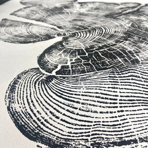Bear Lake Utah, Tree sump print, From Bear Lake, Woodcut Print, Live Edge Lumber, 24x36 inch print, Alpine Art image 9