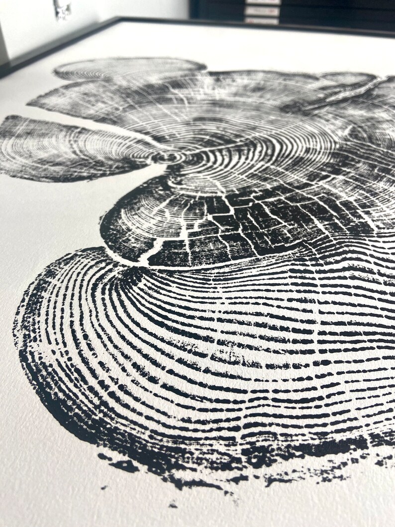 Bear Lake Utah, Tree sump print, From Bear Lake, Woodcut Print, Live Edge Lumber, 24x36 inch print, Alpine Art image 9