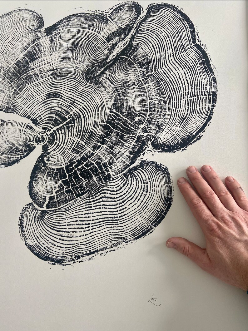 Bear Lake Utah, Tree sump print, From Bear Lake, Woodcut Print, Live Edge Lumber, 24x36 inch print, Alpine Art image 10