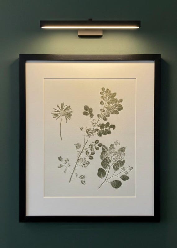 Plant Morphology Study (Collected Flora), Original Monoprint 18x24 inches, Signed original, one of one