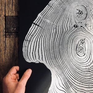 Mulberry Tree, Woodcut print, Tree ring print, Forestry, Forager, Biology Gifts, Wood Burning Art