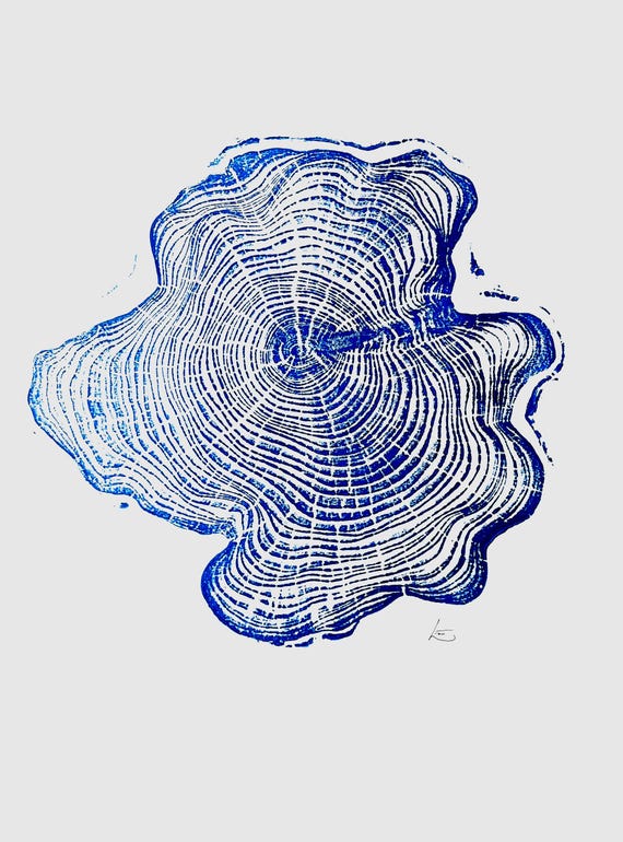 Alaska Cedar, Alaska Art, Denali, Lumber, Shabby Tree, Wood Burning Art, Wood Slice Wall Art