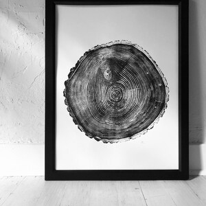 May include: Black and white print of a tree trunk cross-section, showing the rings of the tree. The print is framed in a black frame.