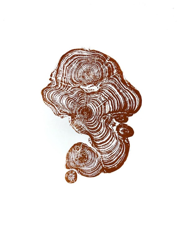 Cypress from Ireland, Tree ring art print, Tree stump print, first anniversary gift, 18x24 inch woodcut, fifth anniversary gift, Linton Art