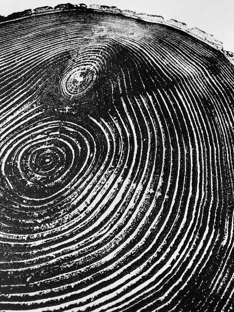 May include: Black and white close-up of a tree trunk cross-section, showing concentric rings and a knot.