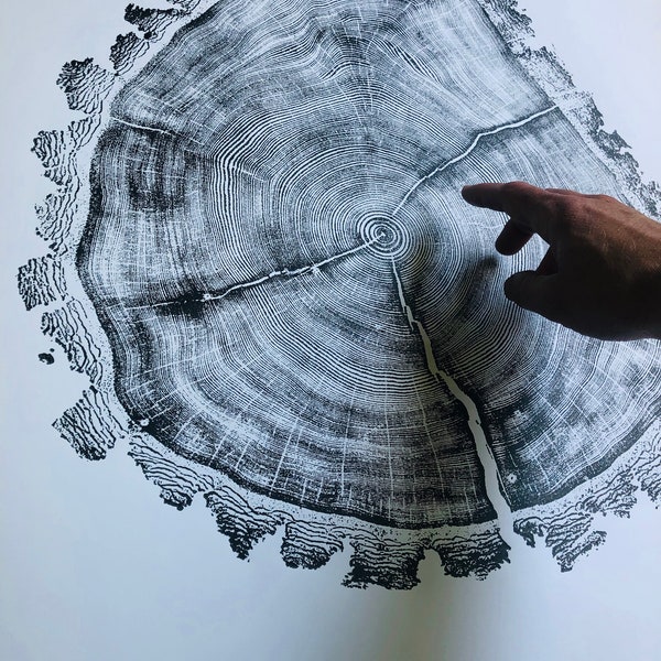 buy old stamp paper online Utah Douglass Fir, Tree sump art print, From Heber Valley, Old growth tree, Woodcut Tree Art, 24x36 inch print, Handmade and signed