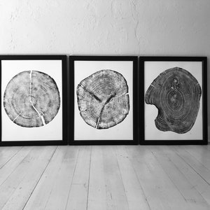 Set of 3, Utah Art, Alaska Art, Ohio State Art, Mulberry Tree, Cedar Tree, Wood Slice Wall Art image 9