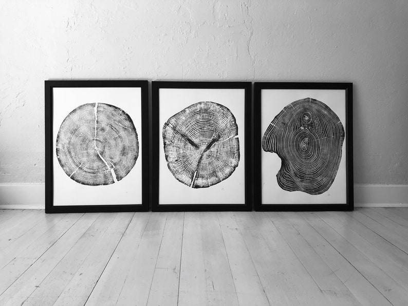 Set of 3, Utah Art, Alaska Art, Ohio State Art, Mulberry Tree, Cedar Tree, Wood Slice Wall Art image 9