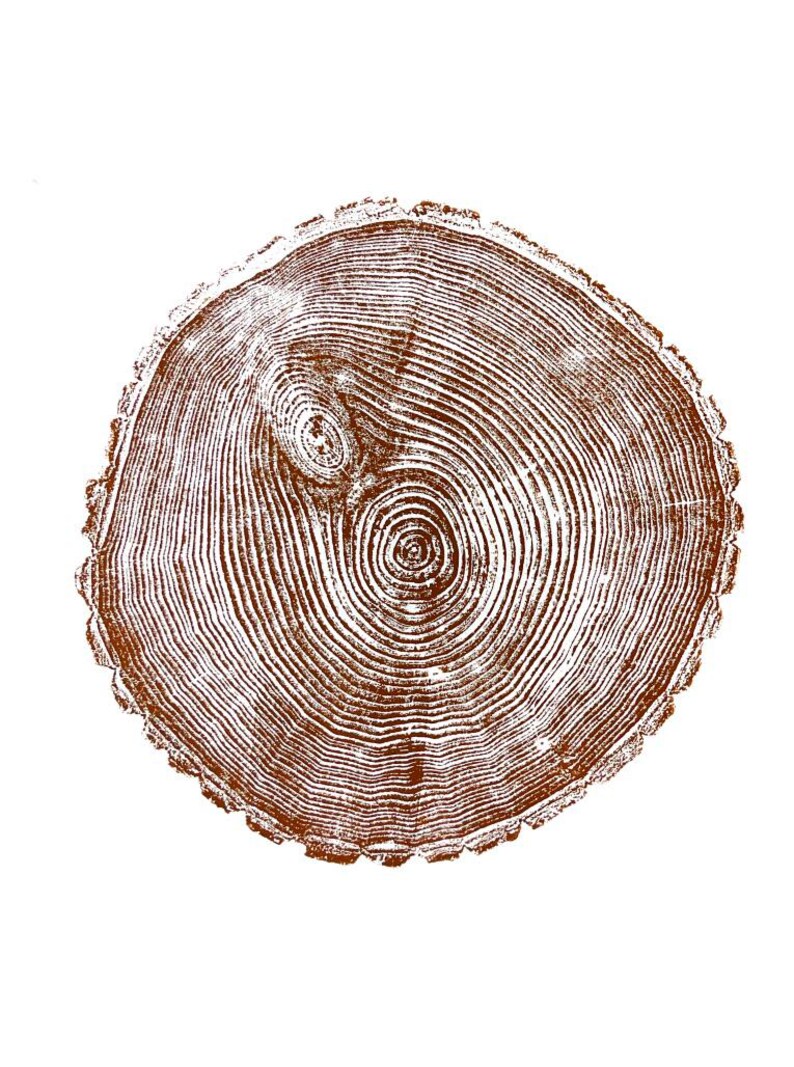 Maine Print, Forestcore art, Balm of Gilead, Tree ring print, Maine Poster, Arcadia, Arborist, Forestry, Live Edge wood, Signed original Brown