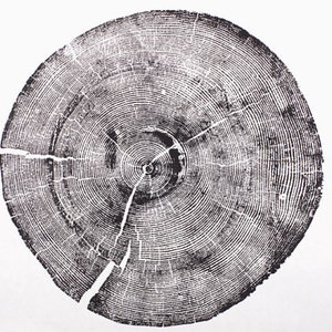 Set of 3, Utah Art, Alaska Art, Ohio State Art, Mulberry Tree, Cedar Tree, Wood Slice Wall Art image 5