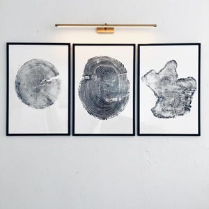 Tree rings Print, Three Panel Wall Art, Woodcut print, japandi art, Tree of Life, Sacred Geometry, Live Edge, Shabby Tree, Each 24x36 inches