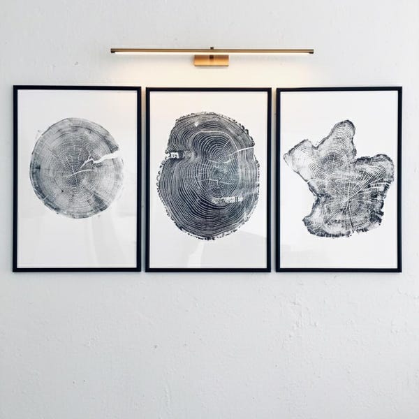 Tree rings Print, Three Panel Wall Art, Woodcut print, japandi art, Tree of Life, Sacred Geometry, Live Edge, Shabby Tree, Each 24x36 inches