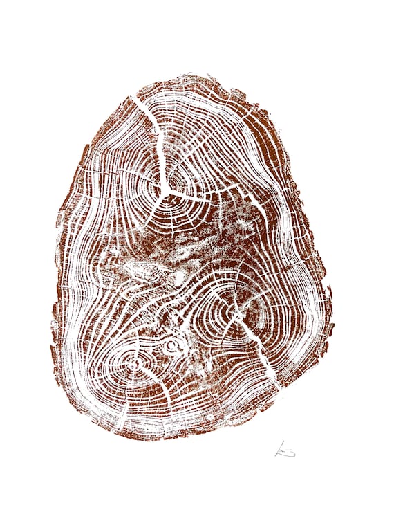 Locust Tree Brown, Tree Anatomy Art, Natural Botanical tree print, Thoughtful Tree Lover Gift, Black Locust Tree, Timeless Decor, Rustic Art