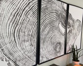 Los Angeles Pine, Tree ring art print. Pine tree from Las Angeles, California, Log print, Printed on three 24x36 inch panels