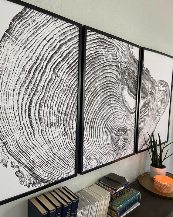 Los Angeles, Mount Wilson, Tree Ring Art, Mountain Artwork, California Coast, Shabby Tree, Wood Slice Wall Art