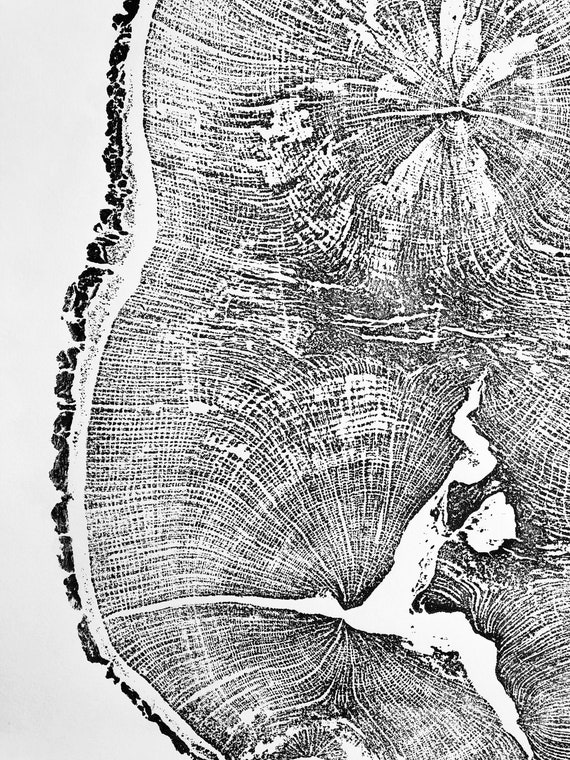 English Oak, Tree ring art print, Oak from Liverpool UK, Anniversary art, Tree ring art, Tree rings, Original Woodcut print by Erik Linton