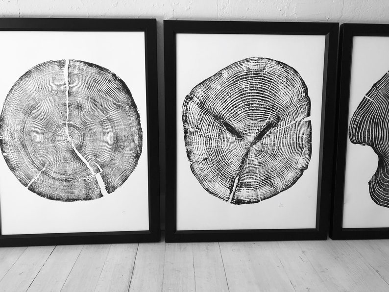 Set of 3 tree ring prints Triptych Wall Art Large Tree image 2