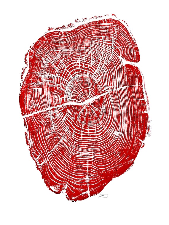 Osage Orange, Tree ring print, Nauvoo, Illinois art, 18x24 tree ring print, Original woodcut art, Handmade tree print by Erik Linton