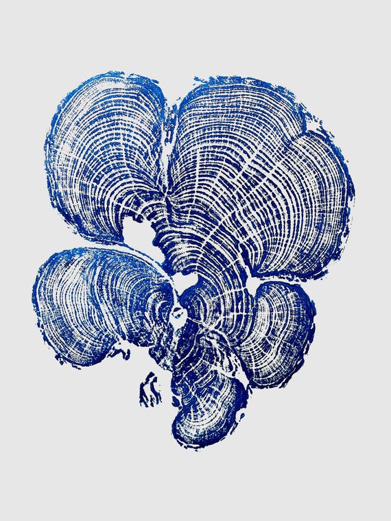 Grand Canyon Cedar, Blue Ring Print, woodcut art, Real tree rings, Nature inspired art, real tree art, Arborist art, Christmas art gifts