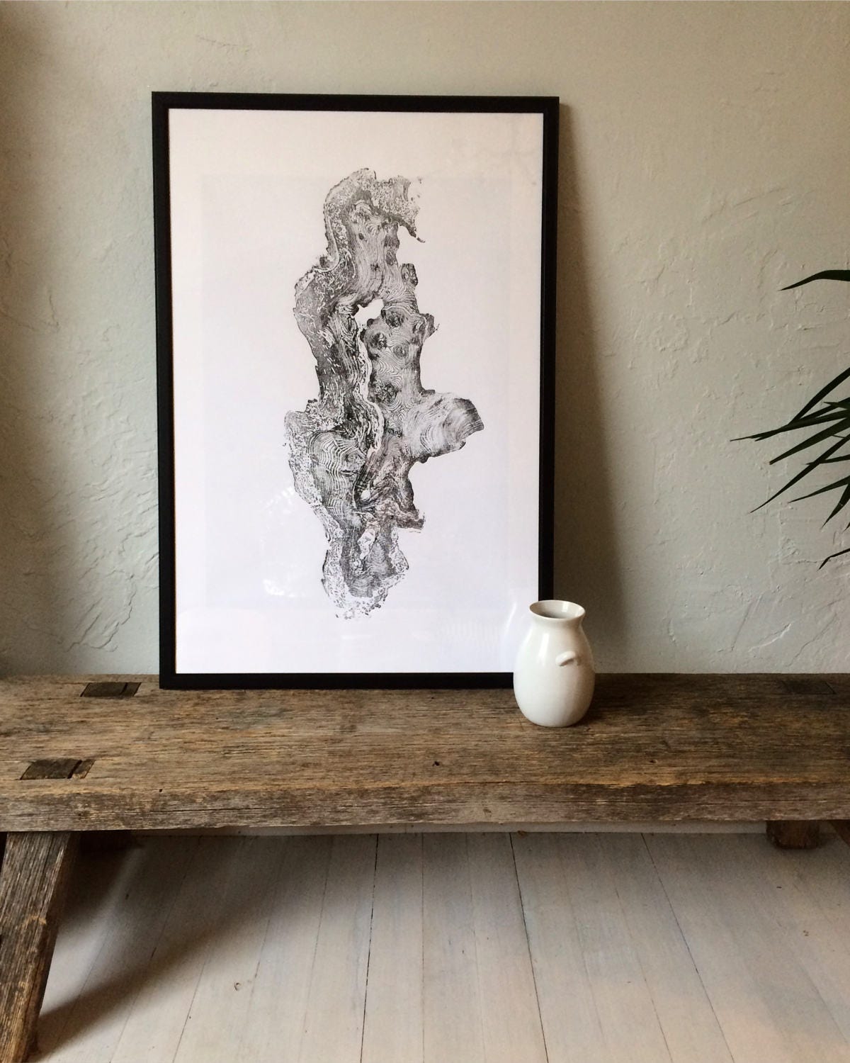 California Redwood tree ring print, Redwood tree rings ...