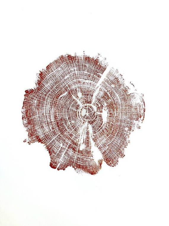 Williamsburg, Tree Ring Print, Woodblock Print, Virginia Beach, Blue Ridge Mountains, shabby tree