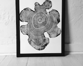 Ohio State, Black Locust, Tree ring print, Woodcut print, Mandala Art Print, Woodcut Print