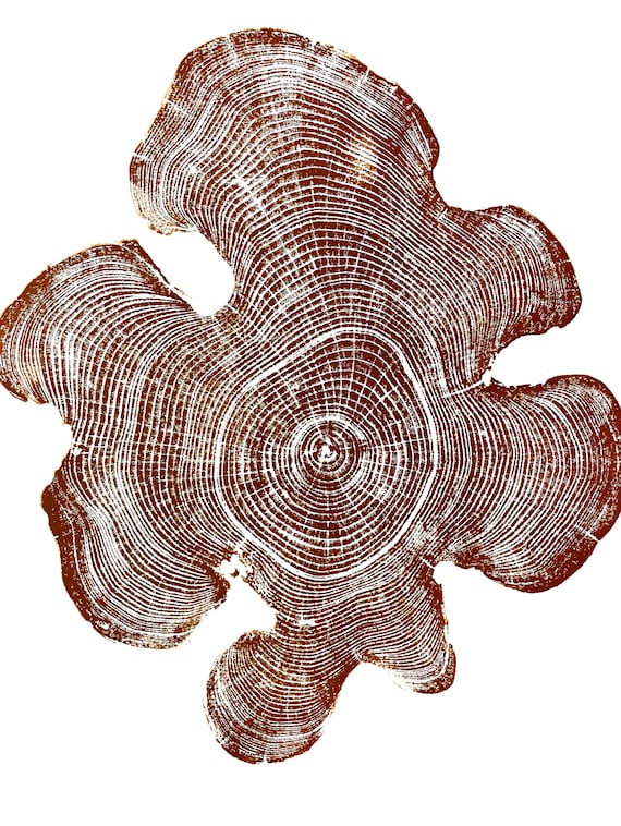 Ohio State, Brown Tree Ring Print, Black Locust, Tree ring print, Woodcut print, Mandala Art Print, Woodcut Print