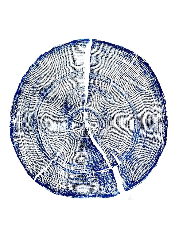 Rock Canyon Pine, Tree ring art print, Woodcut print, tree ring art print, Christmas prints, Christmas tree print, Holiday decor, print gift