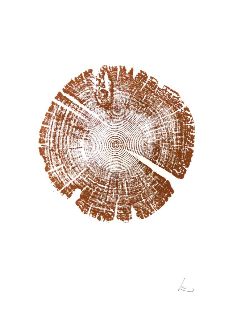 Tree Ring Print, Utah Art, Lodge Pole Pine, Tree Blocks, Biology Gifts, Wood Burning Art, 18x24, Signed Original Brown