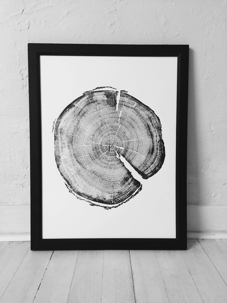 Op de afbeelding: Zwart-witte print van een dwarsdoorsnede van een boomstam, met de jaarringen van de boom. De print is ingelijst in een zwart frame.