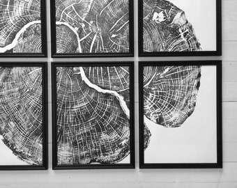 Set of six, Pennsylvania wall art, Maple Tree, Sugar Maple, Tree ring print, Live edge wood wall art