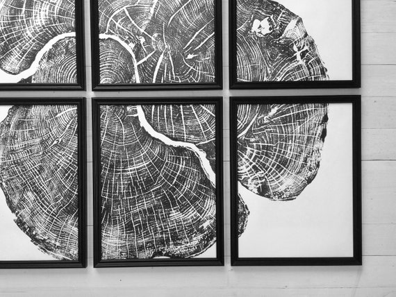 Set of six, Pennsylvania wall art, Maple Tree, Sugar Maple, Tree ring print, Live edge wood wall art