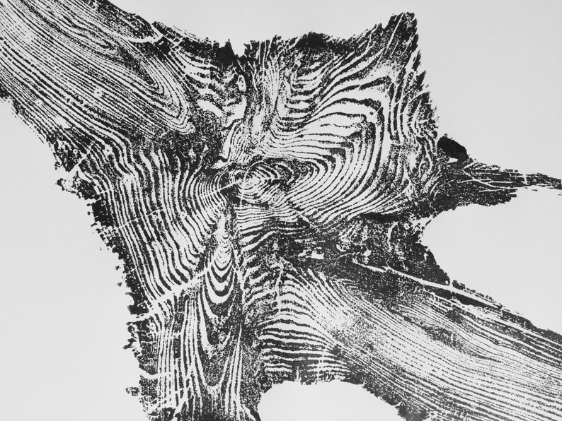 Yellowstone, Träsnitt, Timmer, Nationalparkkonst, Vedeldad konst, Alpin Modern, Modern botanisk, Skogsbruk, Signerat original bild 3