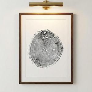 Ozark Mountains Oak, Rusticcore art, Tree ring Art Print, 18x24 inches, Woodcut art print, Tree ring art by Erik Linton
