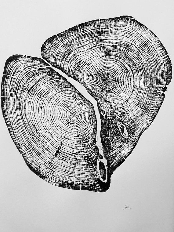 Waco Texas, Temple Texas, Cedar Tree ring print, Tree stump art, Original Woodcut print, Woodblock print, Linton Art