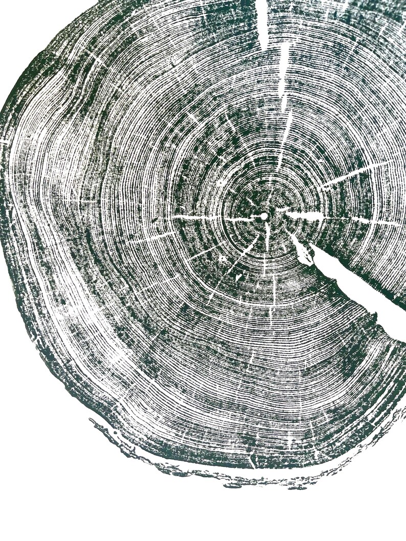 Utah-kunst, Uinta-gebergte, Forestcore-kunst Boomringprint, houtsnedeprint, boomringkunst, plakjes natuurlijk hout, origineel gesigneerd 18 x 24 inch Sage Green