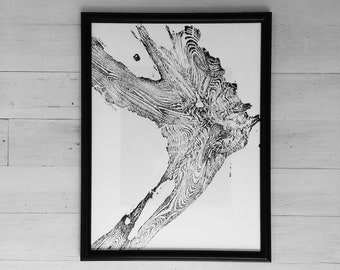 Glacier National Park, Tree ring art print, 12x16, woodcut print, Tree Roots, Real tree art, woodcut art print, 1st Anniversary gift