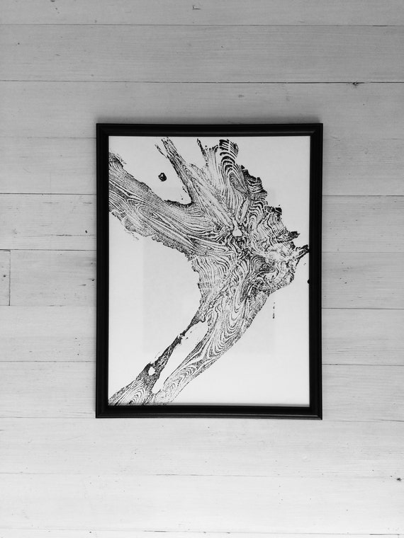 Tree ring art print, 12x16, woodcut print, Tree Roots, Real tree art, woodcut art print, 1st Anniversary gift, Glacier National Park