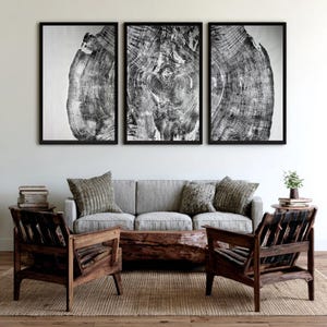 May include: A living room scene with three framed monochrome tree ring prints above a grey sofa with patterned cushions. Two wooden armchairs and a wooden coffee table sit on a woven rug, creating a natural, rustic aesthetic.