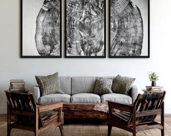 Redwood Triptych, Forestpunk art, Three Panel Wall Art, Tree Ring Print, 372 year old tree, Forestry, Biology Art, Signed Original