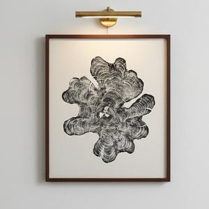 Maine Art, New England Art, York Maine, Woodcore art, Downeast Maine, Tree ring Print, Woodcut Print