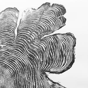 May include: Black and white abstract print of a stylized leaf with a textured, wavy pattern.