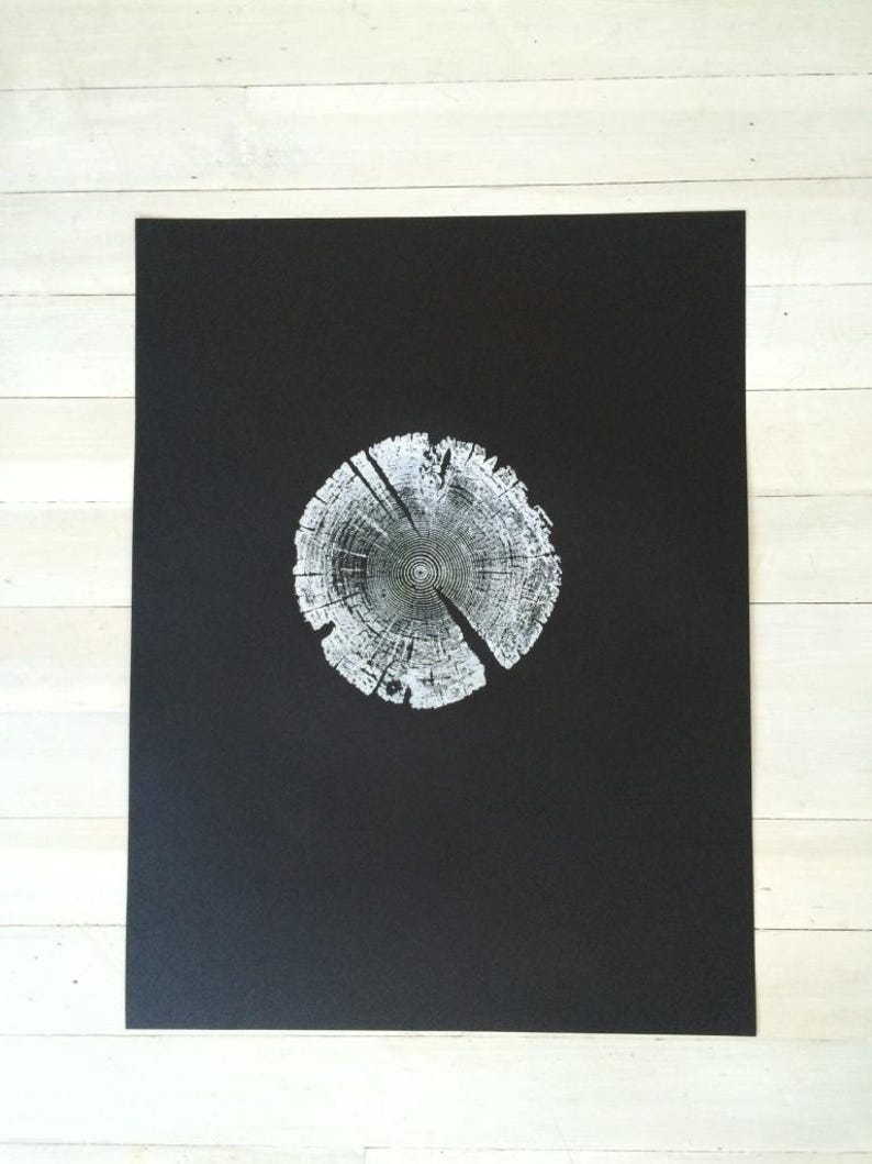 Tree Ring Print, Utah Art, Lodge Pole Pine, Tree Blocks, Biology Gifts, Wood Burning Art, 18x24, Signed Original White