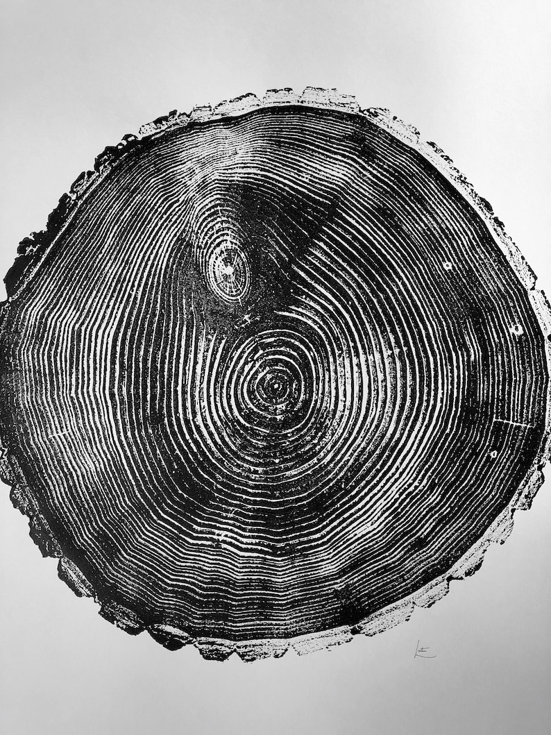 May include: Black and white print of a tree trunk cross-section, showing the rings of growth. The print has a rough, textured edge.