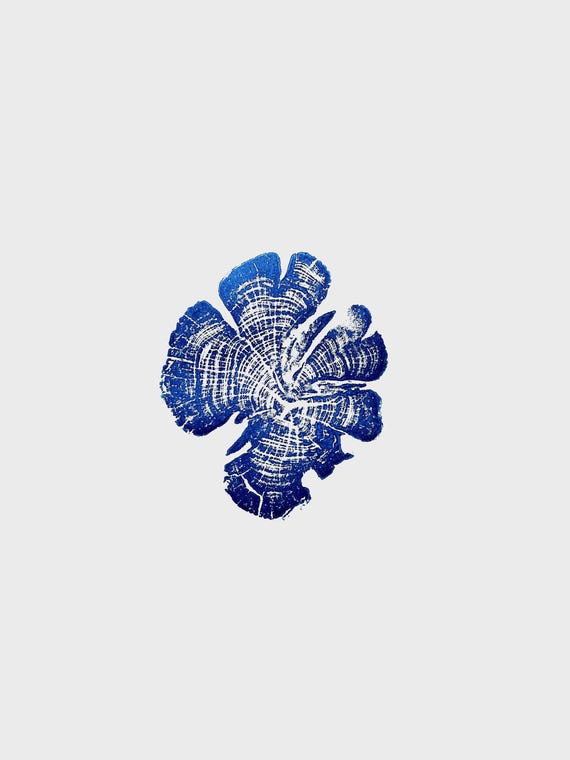 Zion National Park, Tree Ring Print, woodcut Art, National Parks Art, Tree Ring Art Print, Father's Day Gifts, Best Dad Gifts, Gifts for Dad