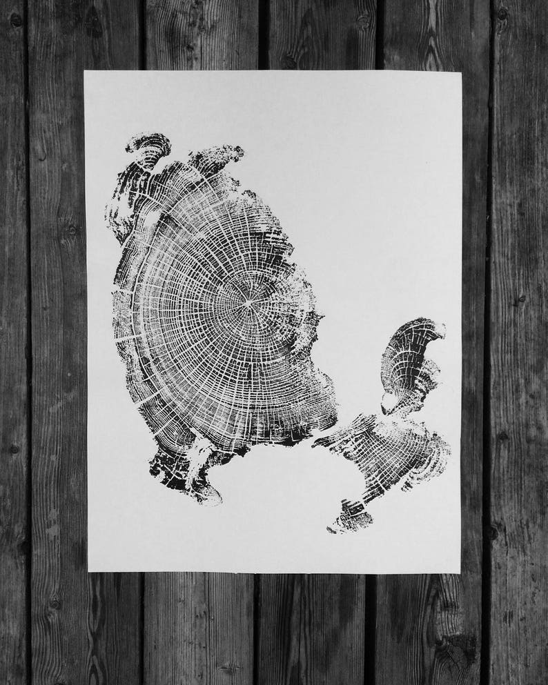 Oregon Coast, Driftwood Wall Art, Tree Ring Print, Lodgecore art, Cascade Mountains, Woodcut Art image 7