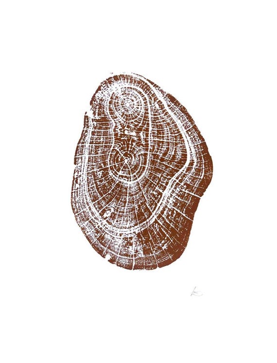 Hawaii Mango Tree, Tree ring print from Hawaii, Tree stump art, 18x24 inch woodcut, handmade by Erik Linton
