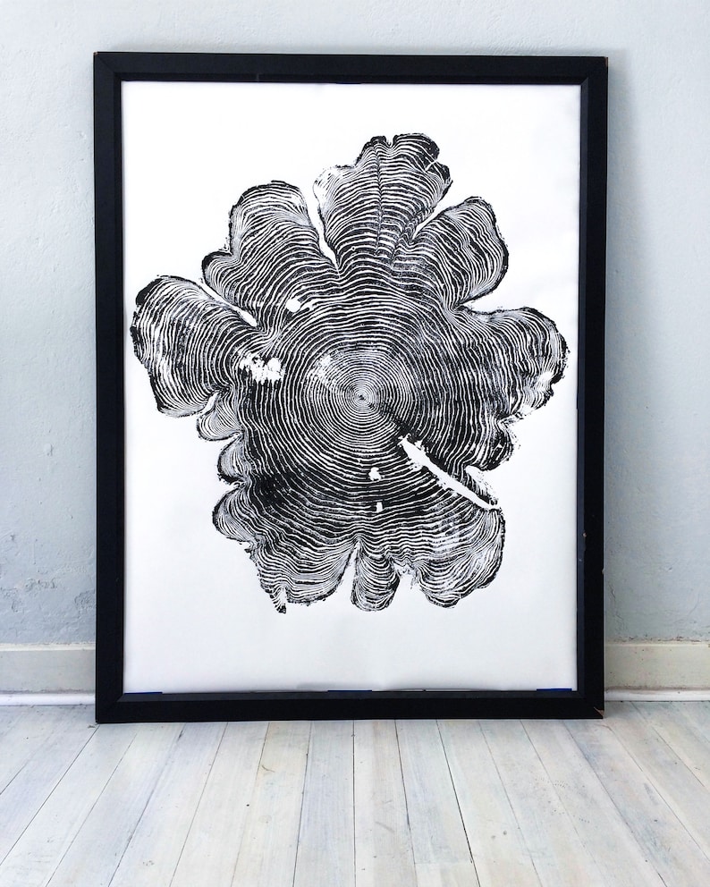 May include: Black and white print of a tree ring cross section in a black frame. The print is on white paper and the tree ring pattern is detailed and intricate.