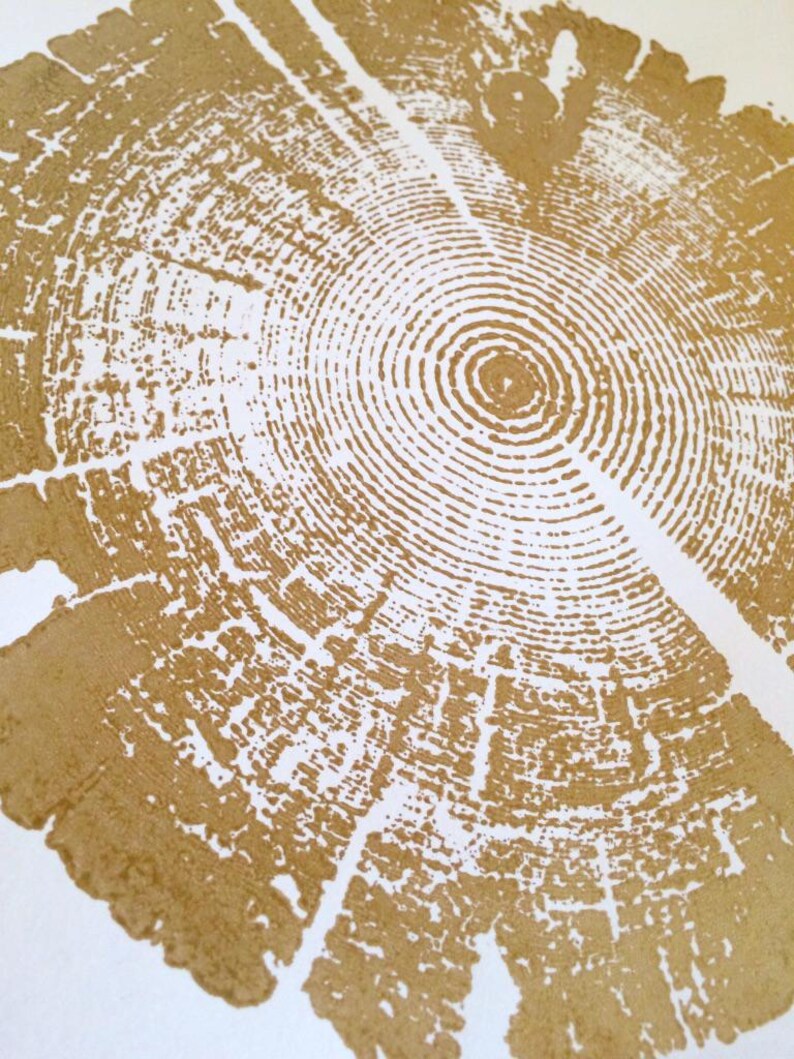 Tree Ring Print, Utah Art, Lodge Pole Pine, Tree Blocks, Biology Gifts, Wood Burning Art, 18x24, Signed Original Gold