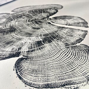 Bear Lake Utah, Tree sump print, From Bear Lake, Woodcut Print, Live Edge Lumber, 24x36 inch print, Alpine Art image 8